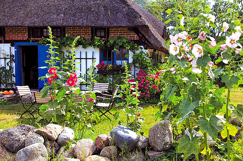 zur Übersicht Rings ums Reet 4