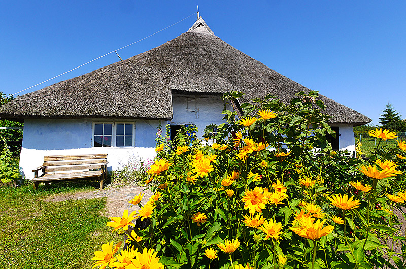 zur Übersicht Rings ums Reet 4