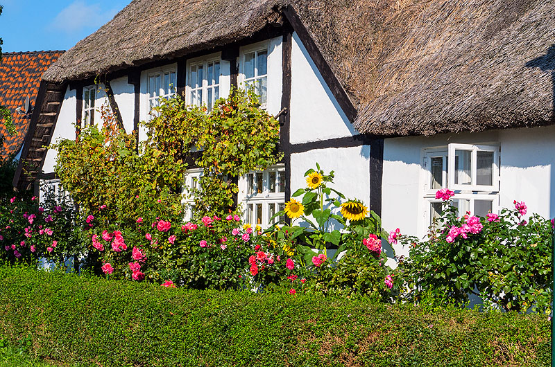 zur Übersicht Rings ums Reet 4