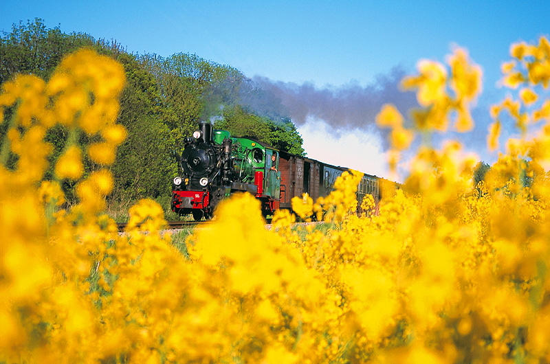 zur Übersicht Rasender Roland 1