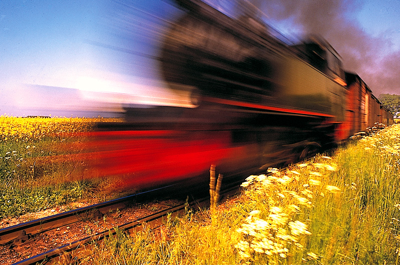 zur Übersicht Rasender Roland 1