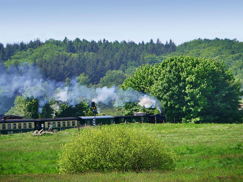 zur Übersicht Rasender Roland 3