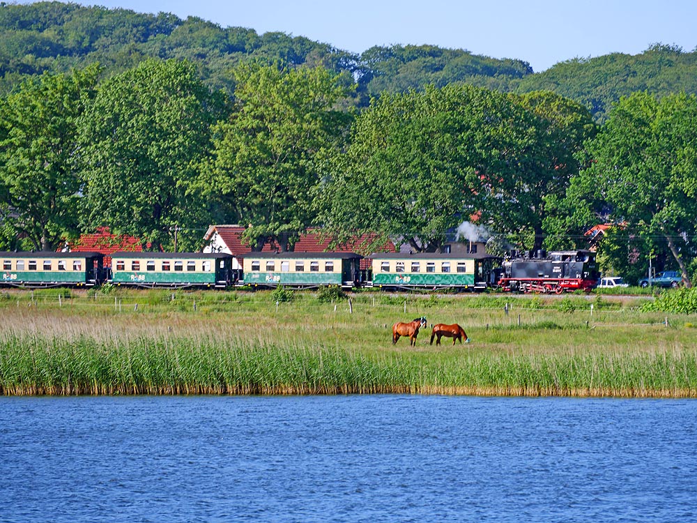zur Übersicht Rasender Roland 3