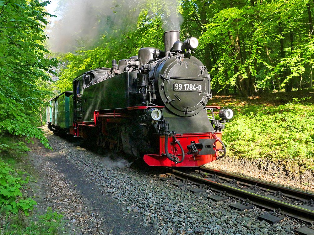 zur Übersicht Rasender Roland 3