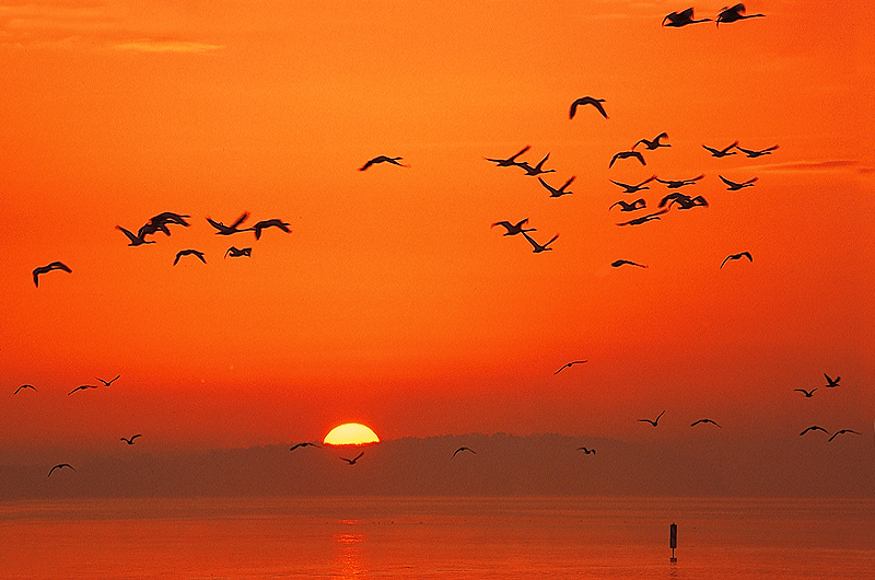 zur Übersicht Stimmungen 1