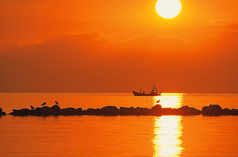 zur Übersicht Stimmungen 1