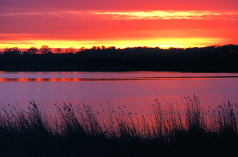 zur Übersicht Stimmungen 1