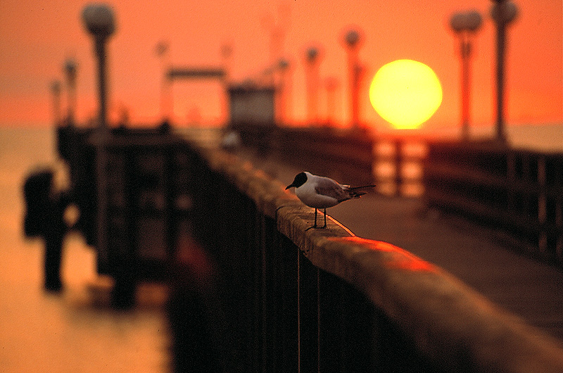 zur Übersicht Stimmungen 1