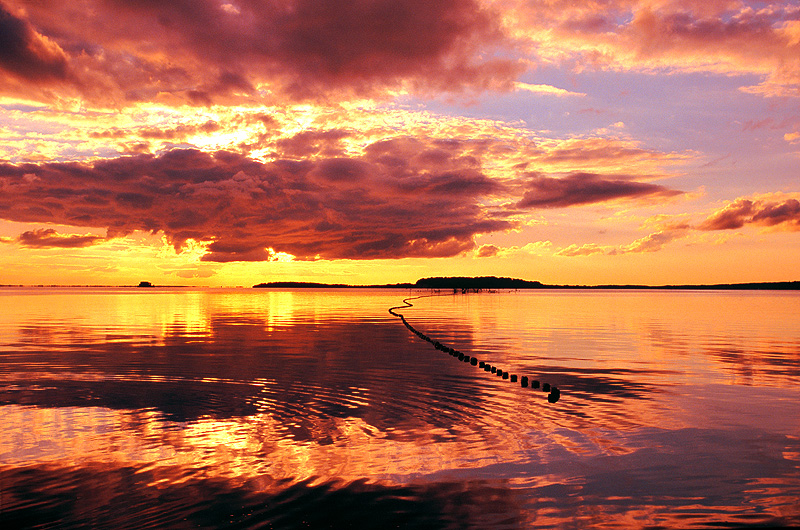 zur Übersicht Stimmungen 2