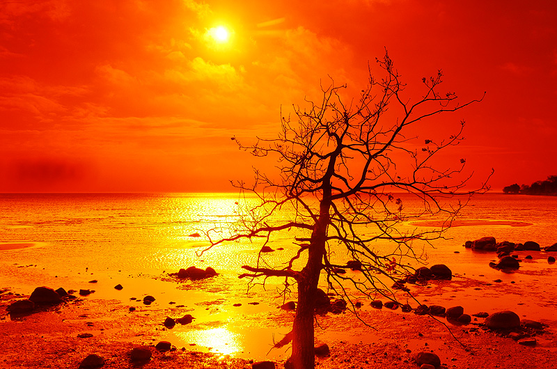 zur Übersicht Stimmungen 4