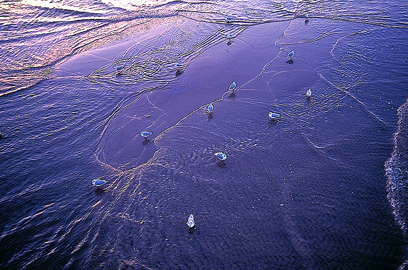 zur Übersicht Strände 2
