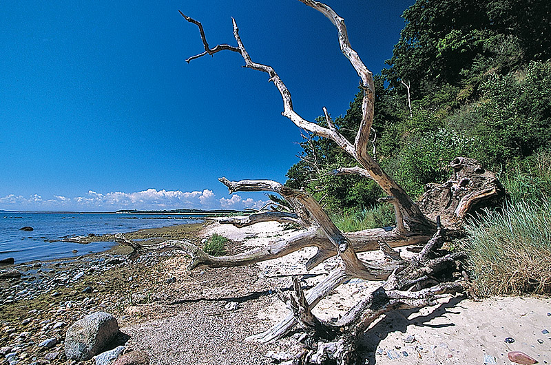 zur Übersicht Strände 3