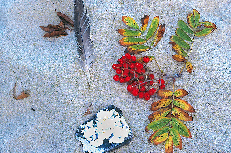 zur Übersicht Strände 5