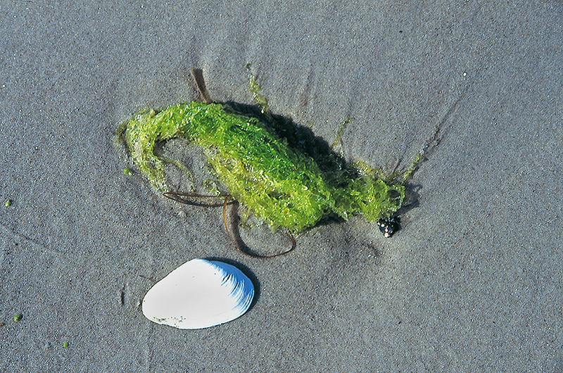 zur Übersicht Strände 5