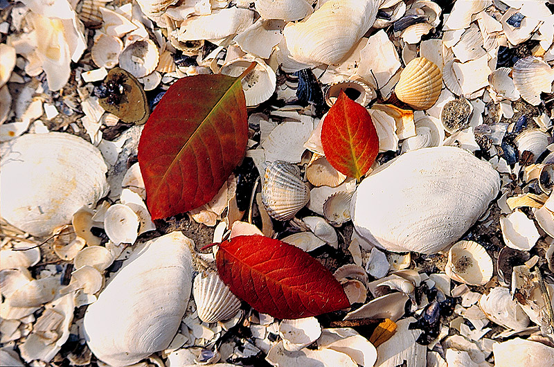 zur Übersicht Strände 5
