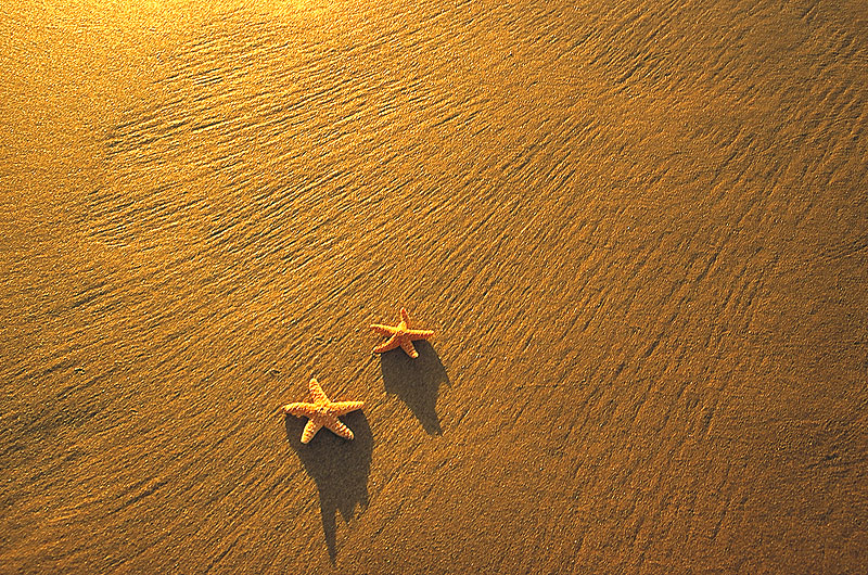 zur Übersicht Strände 6