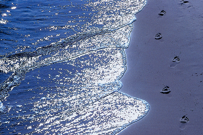 zur Übersicht Strände 6