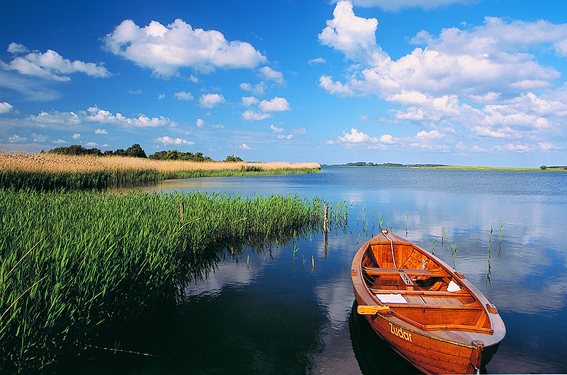 zur Übersicht Süd-West-Rügen 1