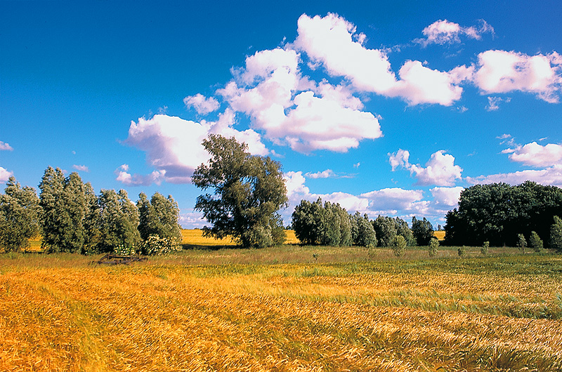 zur Übersicht Süd-West-Rügen 1