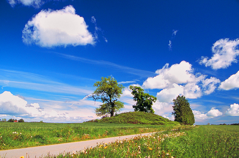 zur Übersicht Süd-West-Rügen 1