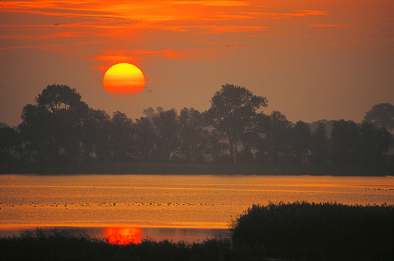 zur Übersicht Süd-West-Rügen 1