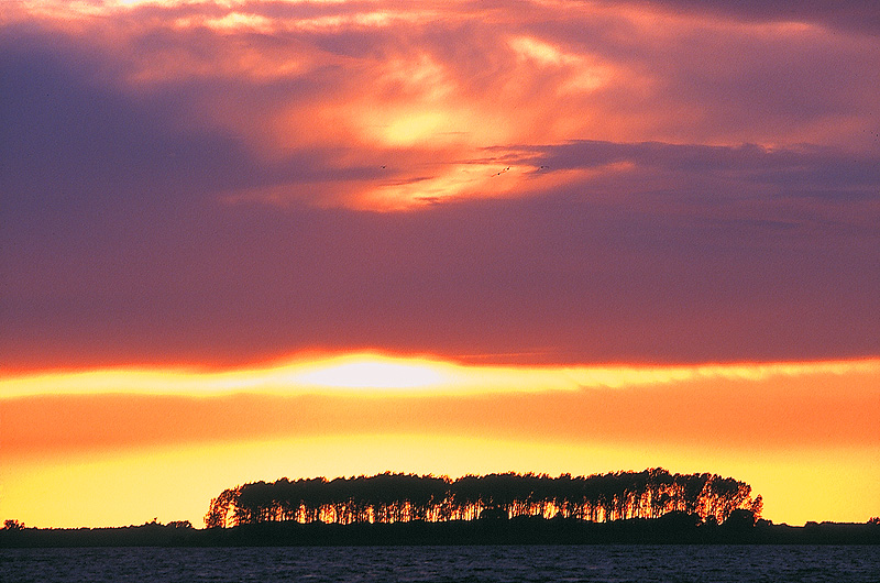 zur Übersicht Süd-West-Rügen 2