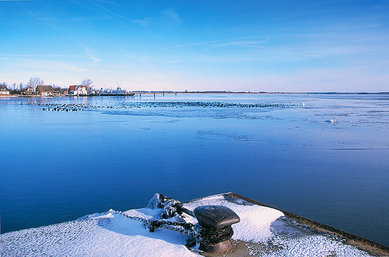 zur Übersicht Süd-West-Rügen 2