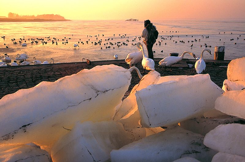 zur Übersicht Süd-West-Rügen 2