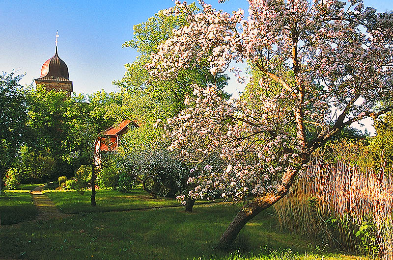 zur Übersicht Süd-West-Rügen 3
