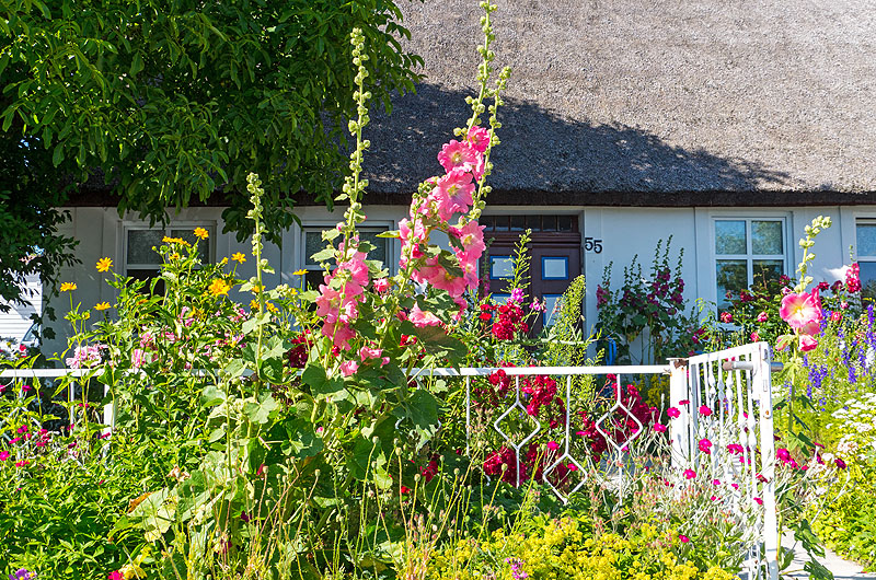 zur Übersicht Süd-West-Rügen 4