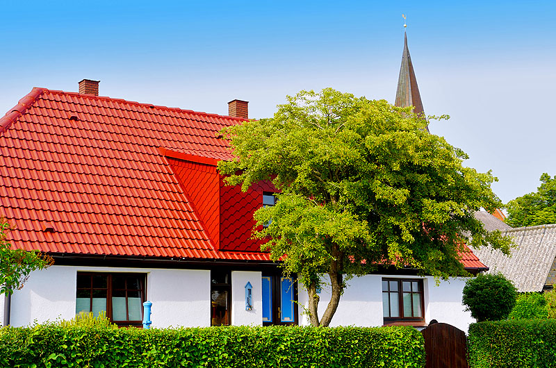 zur Übersicht Süd-West-Rügen 4