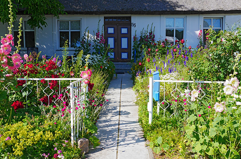 zur Übersicht Süd-West-Rügen 4