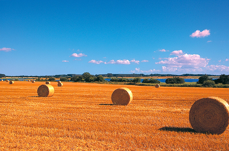 zur Übersicht Ummanz 1