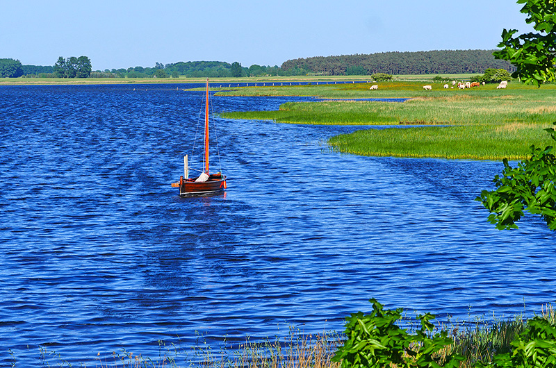 zur Übersicht Ummanz 1