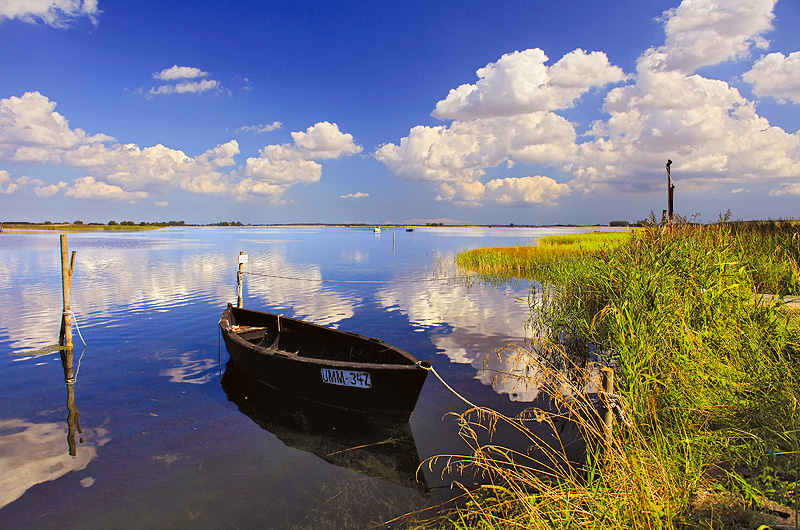 zur Übersicht Ummanz 2