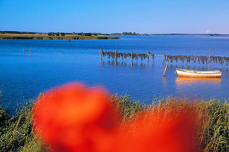 zur Übersicht Ummanz 2