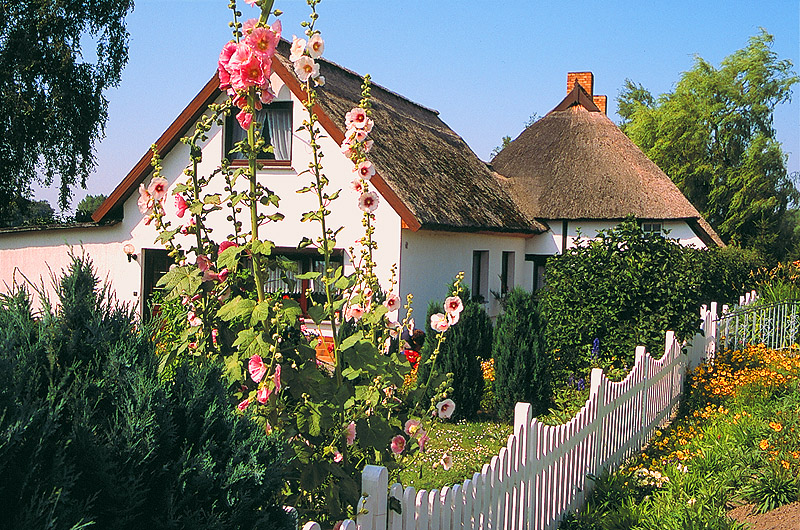 zur Übersicht Ummanz 3