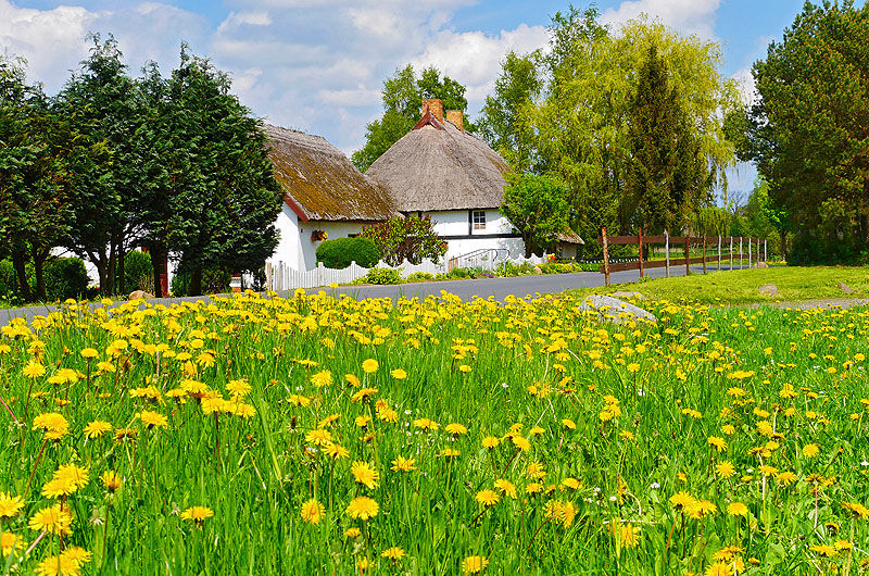 zur Übersicht Ummanz 3
