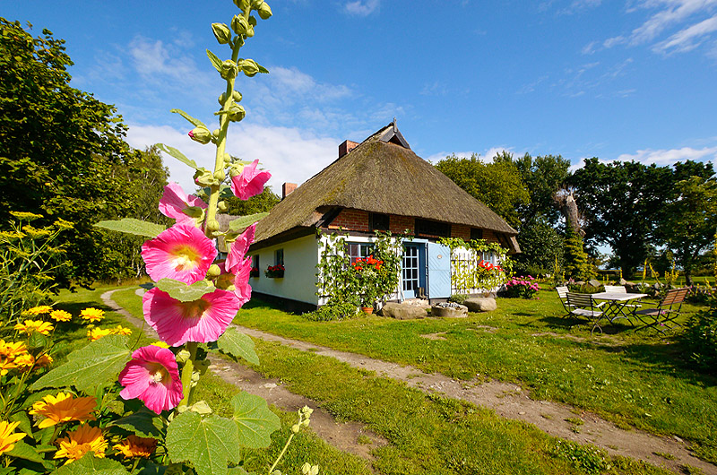 zur Übersicht Ummanz 3