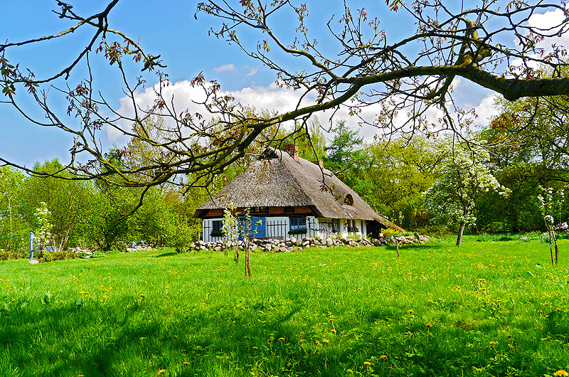 zur Übersicht Ummanz 3