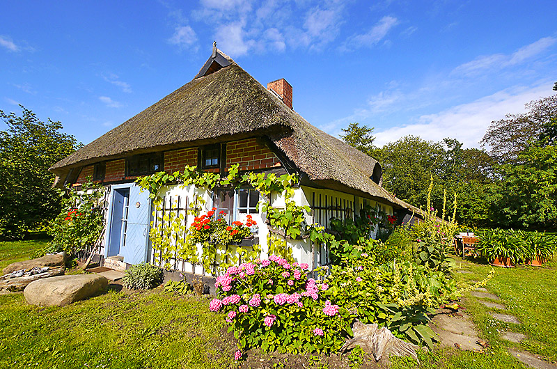 zur Übersicht Ummanz 4