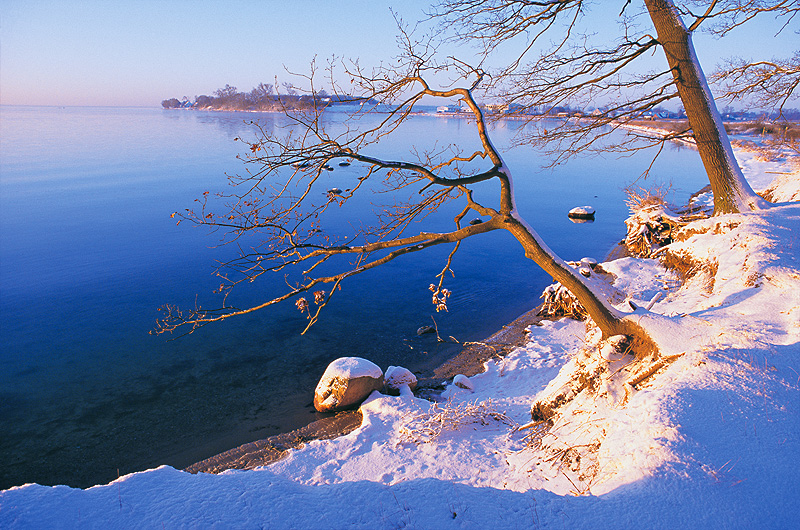 zur Übersicht Winter 1