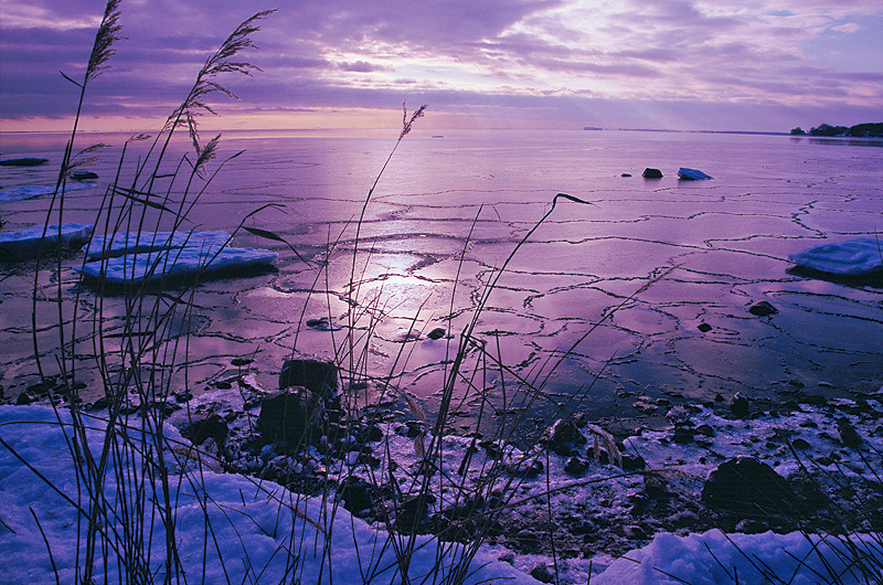 zur Übersicht Winter 1