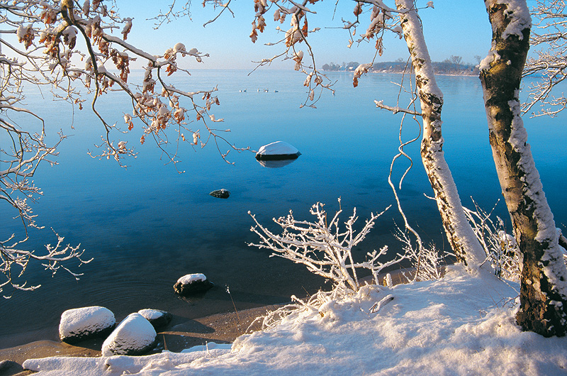 zur Übersicht Winter 1