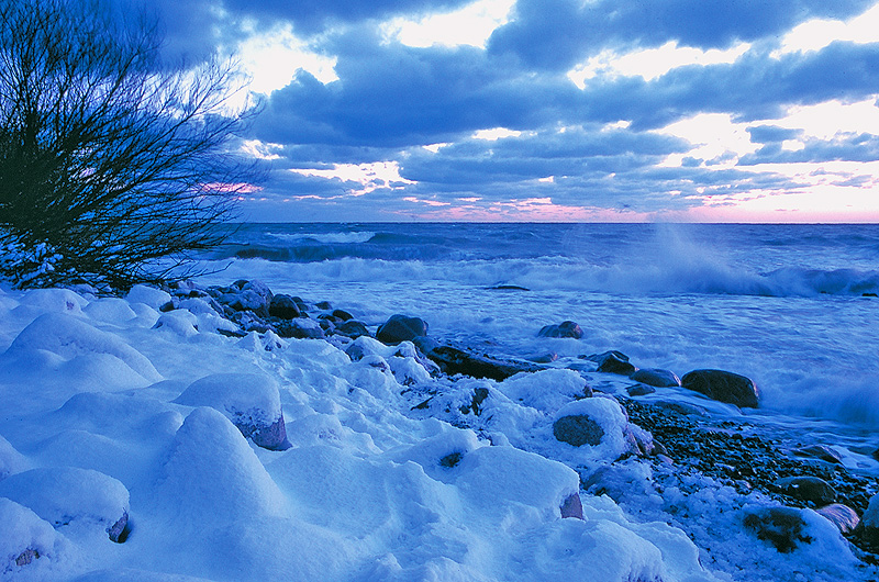 zur Übersicht Winter 2