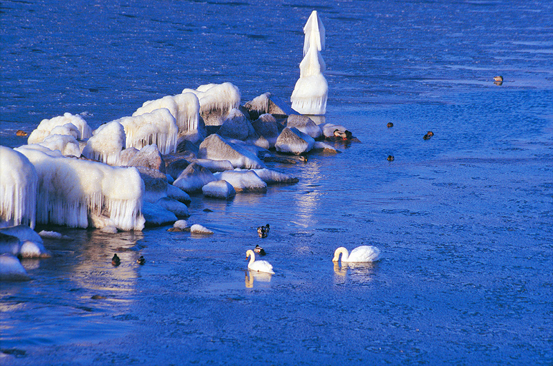 zur Übersicht Winter 2