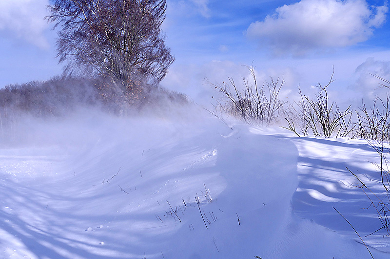 zur Übersicht Winter 2