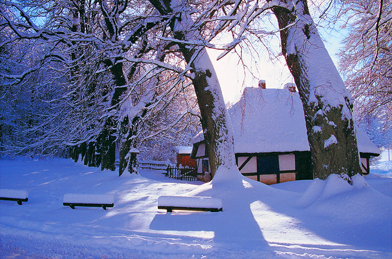 zur Übersicht Winter 2