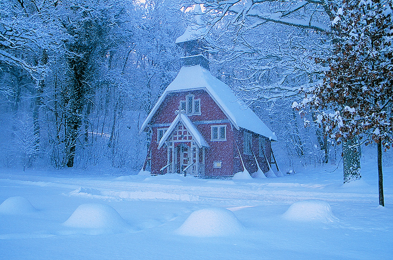 zur Übersicht Winter 3