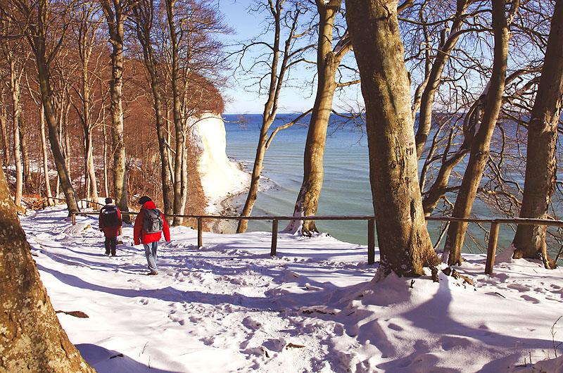 zur Übersicht Winter 4